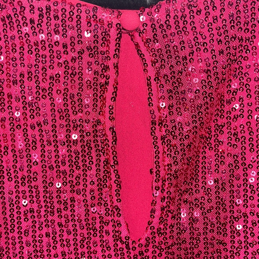 NWT Torrid Abbey hot pink short sleeve sequin top Size 3 3X 22-24 - Picture 6 of 9
